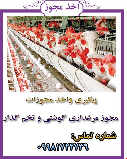 مرغداری